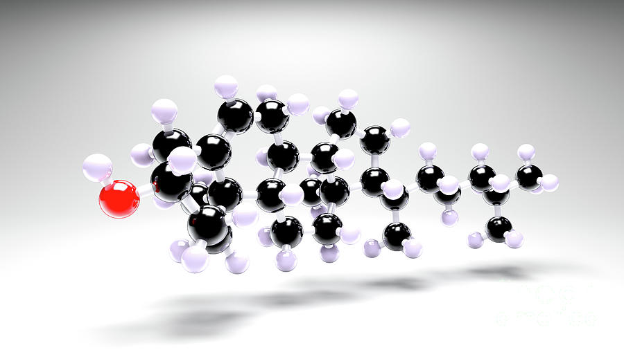 Cholesterol Molecule by Animate4.com/science Photo Library