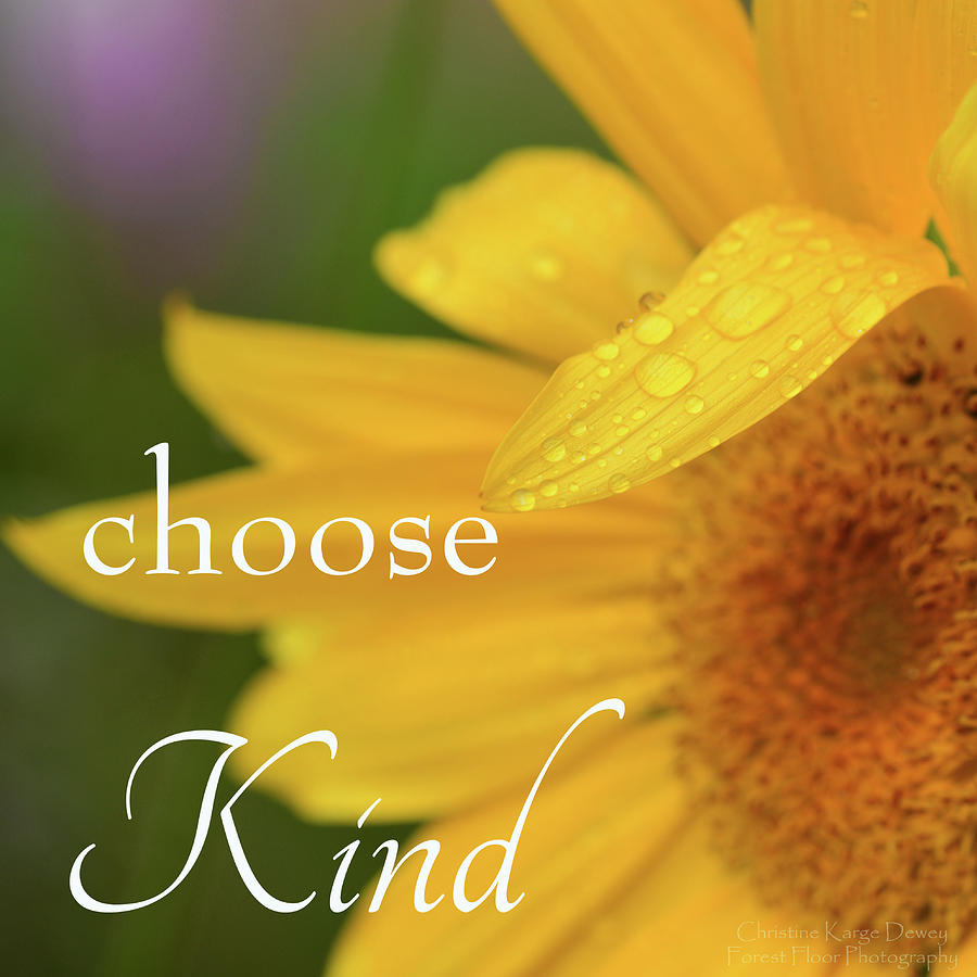 Choose Kind Photograph by Forest Floor Photography