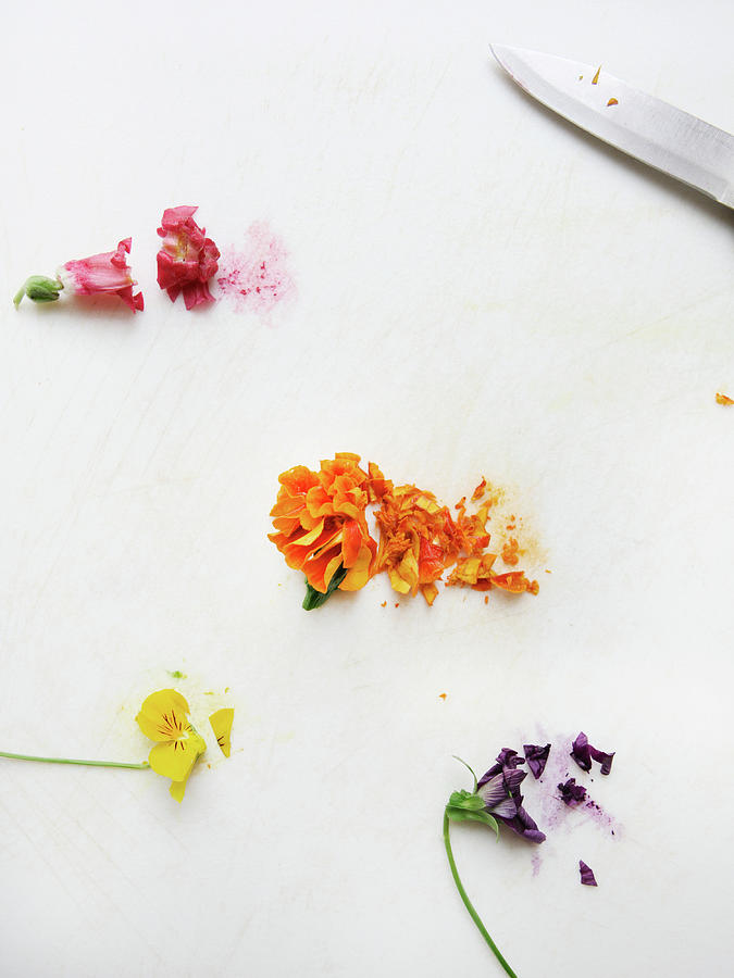 Flowers Still Life Digital Art - Chopped Edible Flowers by Carmen Troesser
