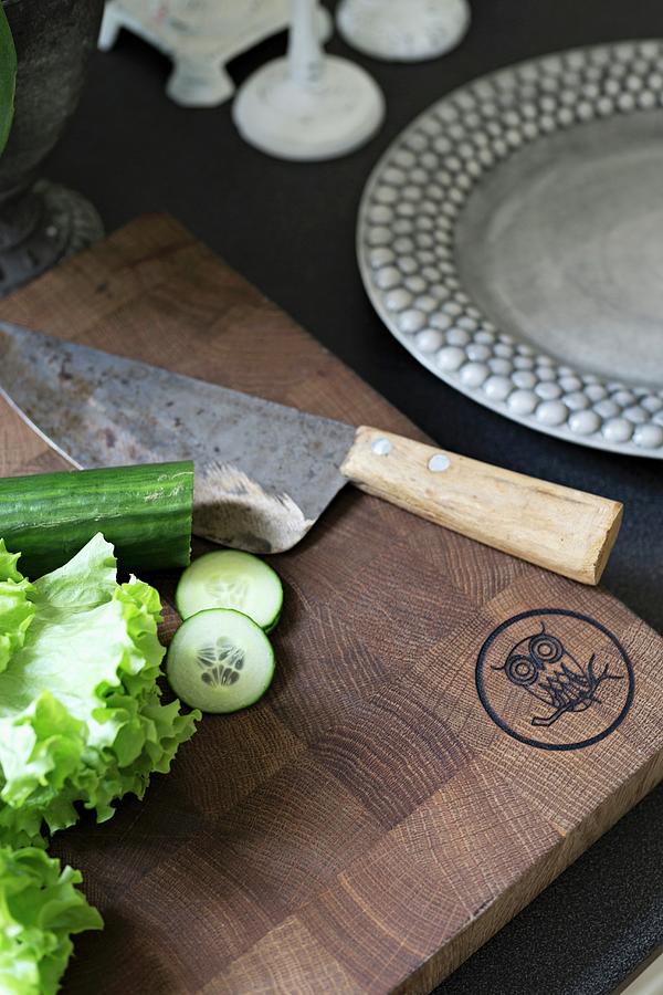 Chopping Board Engraved With Owl, Sharpened Knife And Vegetables Photograph by Cecilia Mller