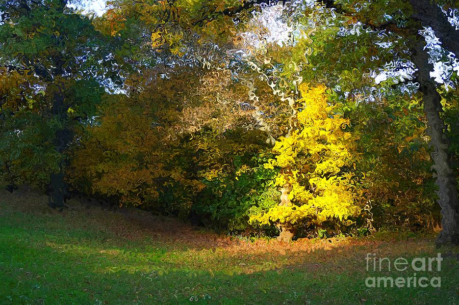 Chosen Tree in Van Gogh Style by Christopher Shellhammer Chosen Tree in Van Gogh Style by Christopher Shellhammer