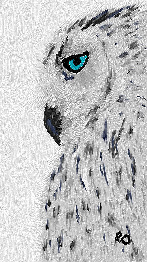Chouette Des Neiges Digital Art By Rafael Charpentier - Pixels