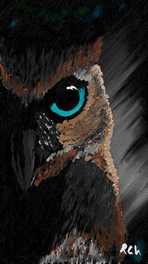 Chouette Digital Art By Rafael Charpentier - Fine Art America
