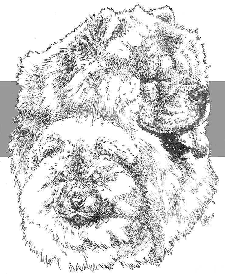 Chow and Pup Drawing by Barbara Keith
