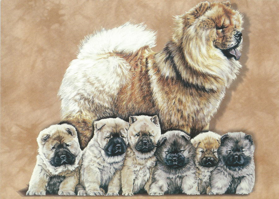 Chow and Puppies Alteration Drawing by Barbara Keith