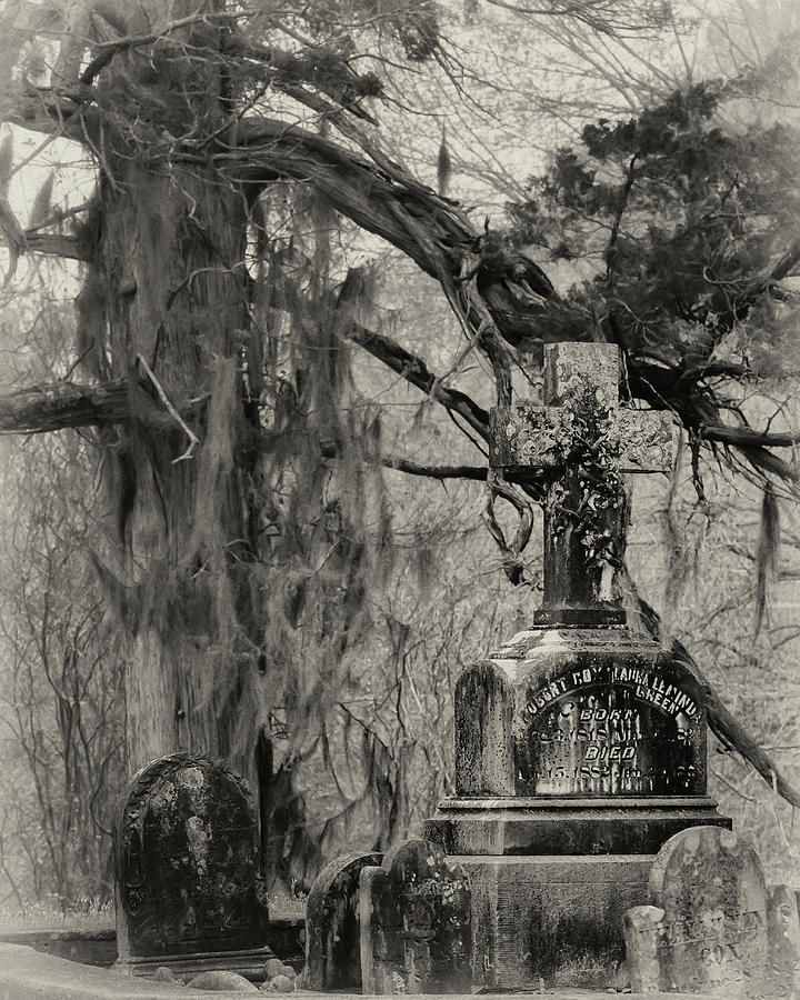Christ Church Graveyard Photograph by Susan Rissi Tregoning