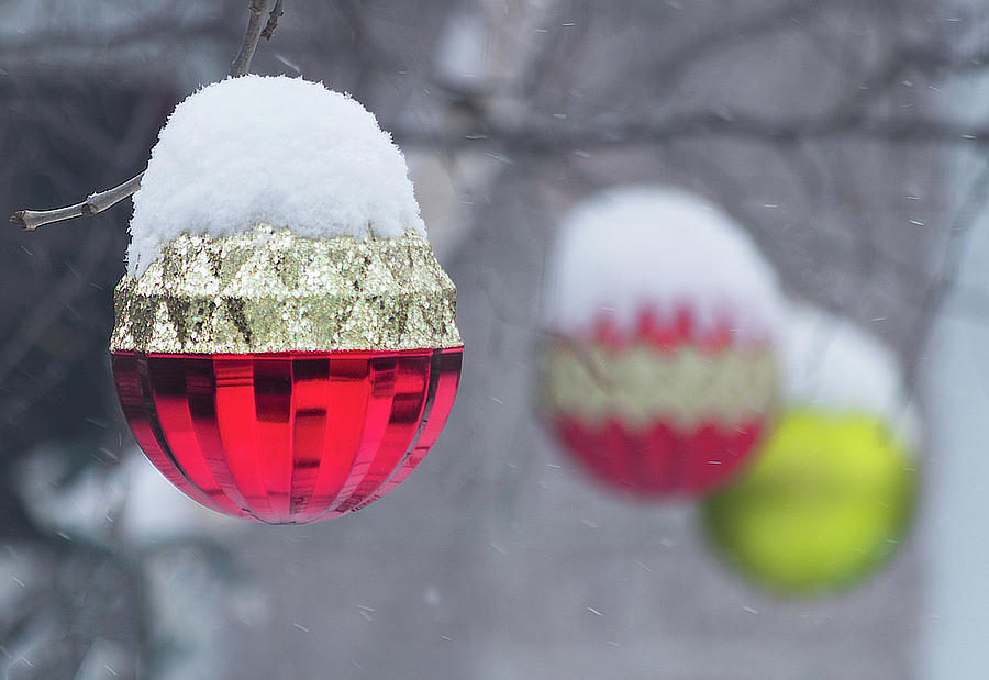 Christmal balls outside covered by snow - snowy winter scene Photograph by Cristina Stefan
