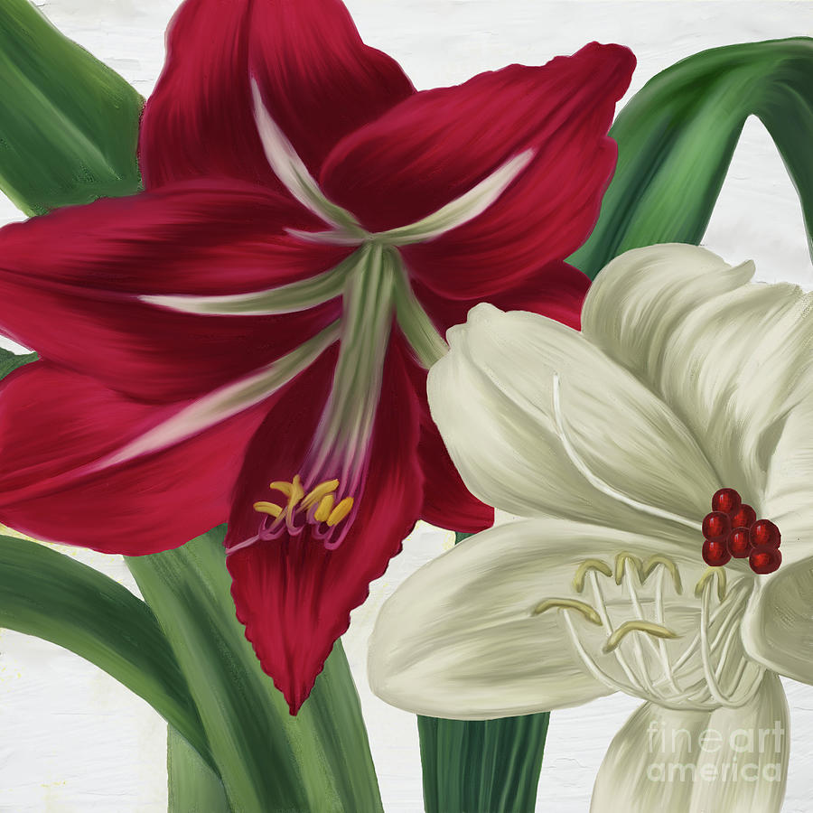 Christmas Amaryllis II Painting by Mindy Sommers