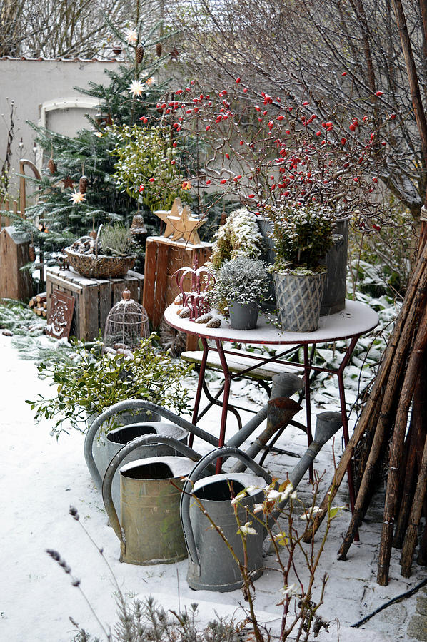 Christmas Arrangement In The Courtyard Photograph by Christin By Hof 9
