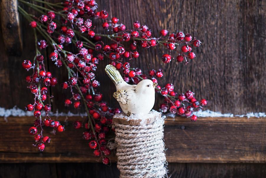 Christmas Arrangement Of Bird Ornament And Branches Of Berries Photograph by Veronika Studer