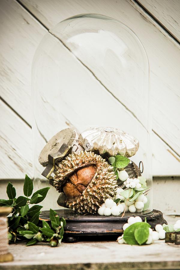 Christmas Arrangement Of Chestnut, Snowberries And Kermes-oak Acorns Under Glass Cover Photograph by Bildhbsch
