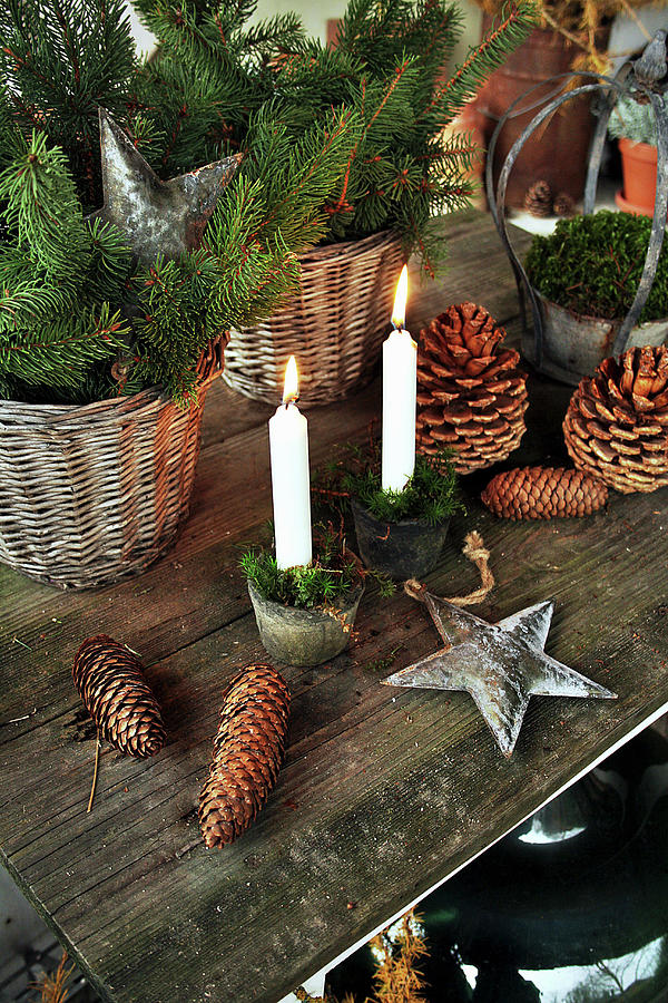 Christmas Arrangement Of Fir Sprigs, Pine Cones And Candles Photograph by Christin By Hof 9