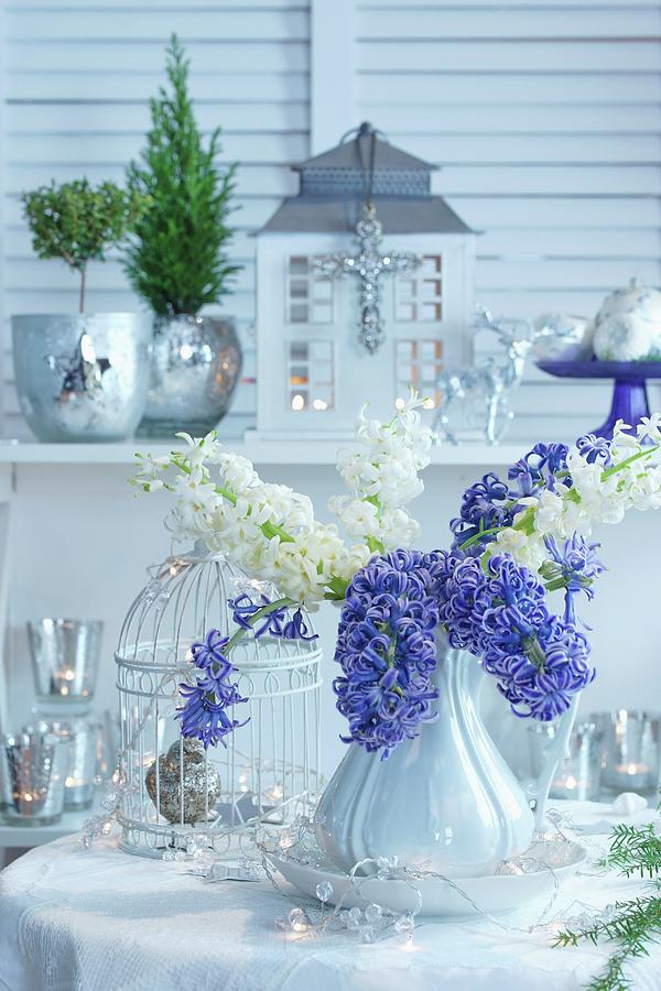 Christmas Arrangement Of Purple And White Hyacinths, Ornamental Bird Cage And Mercury Silver Vases Photograph by Angelica Linnhoff