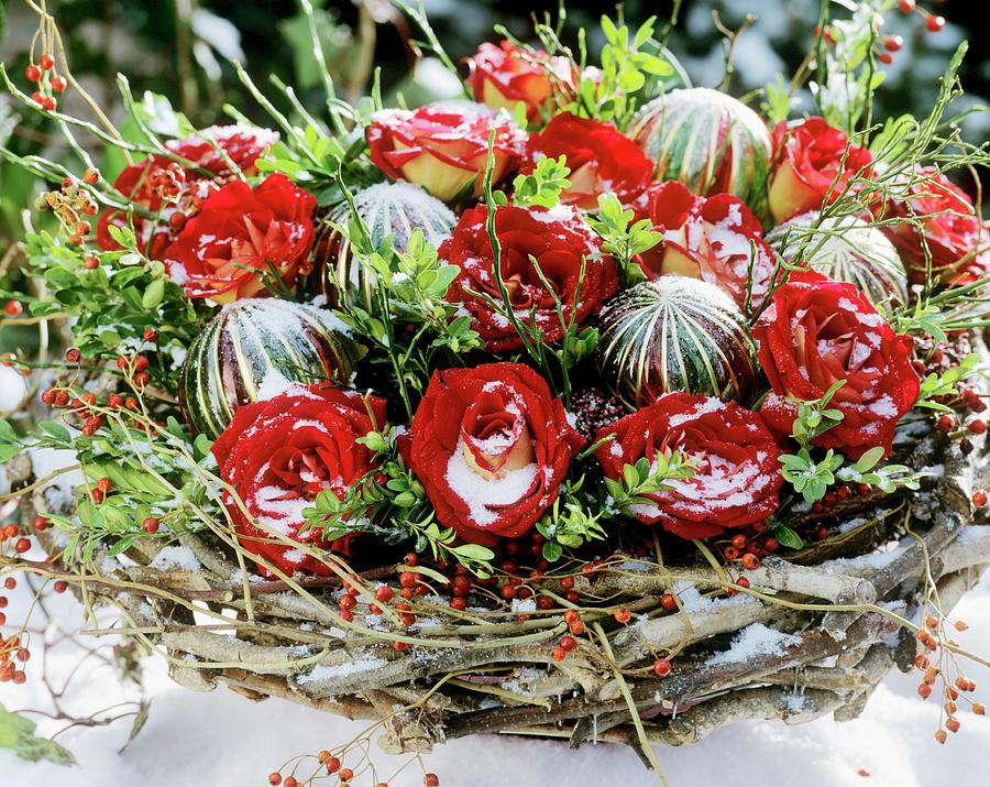 Christmas Arrangement Of Red Roses, Box Branches And Broom Photograph by Friedrich Strauss