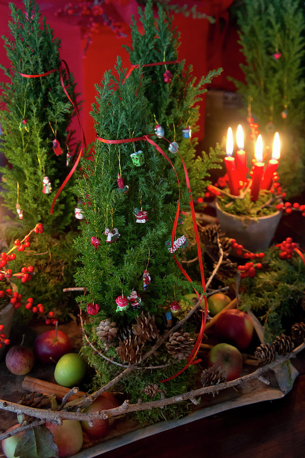 Christmas Arrangement Of Terracotta Pot, Moss, Four Candles, Holly And Conifer Branches Photograph by Martina Schindler