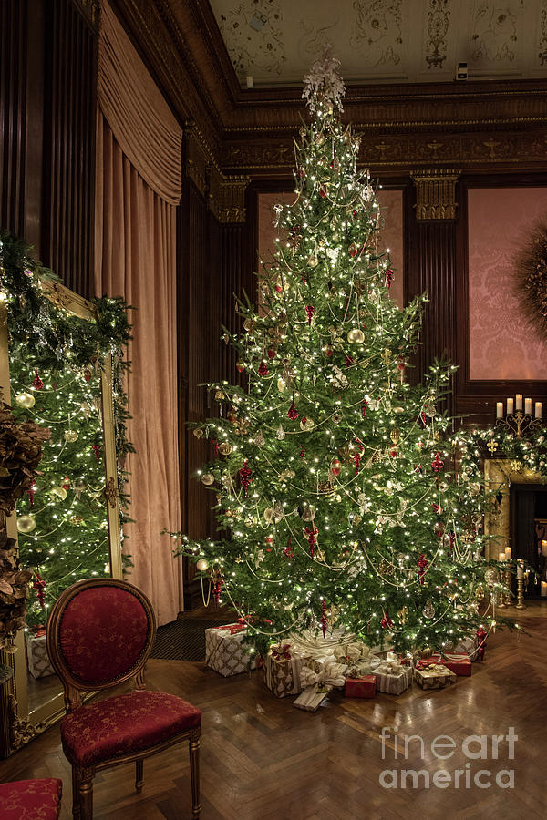 Christmas At Longwood Photograph by Judy Wolinsky