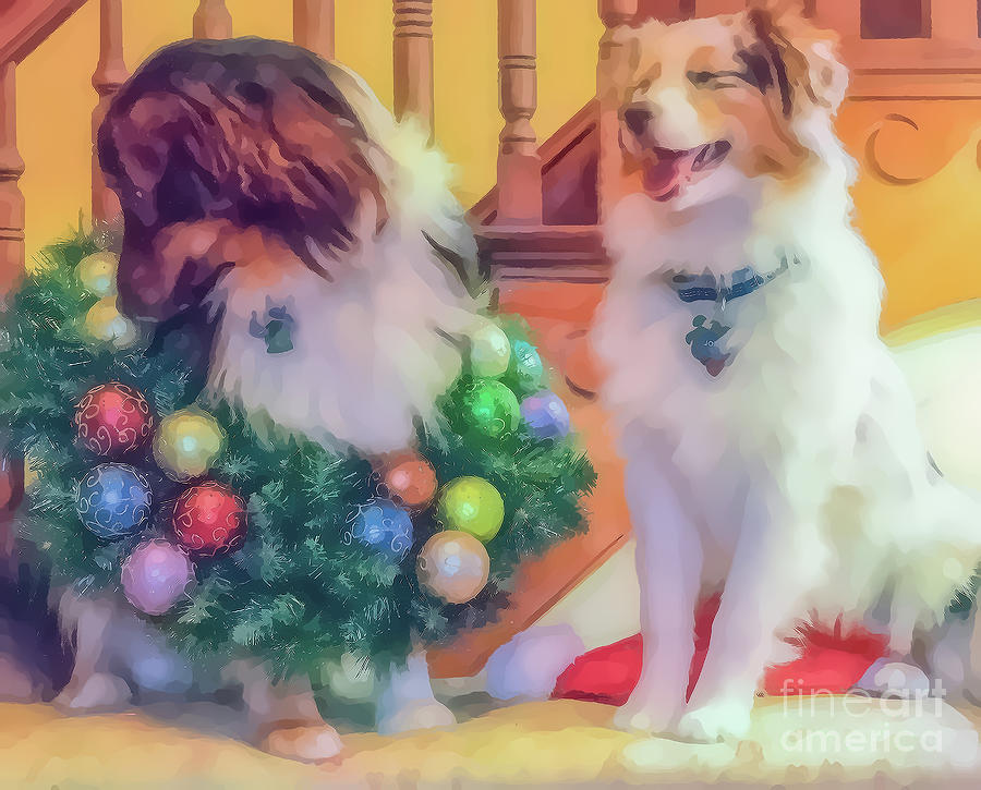 Dog Photograph - Christmas Aussies by Cathy Donohoue