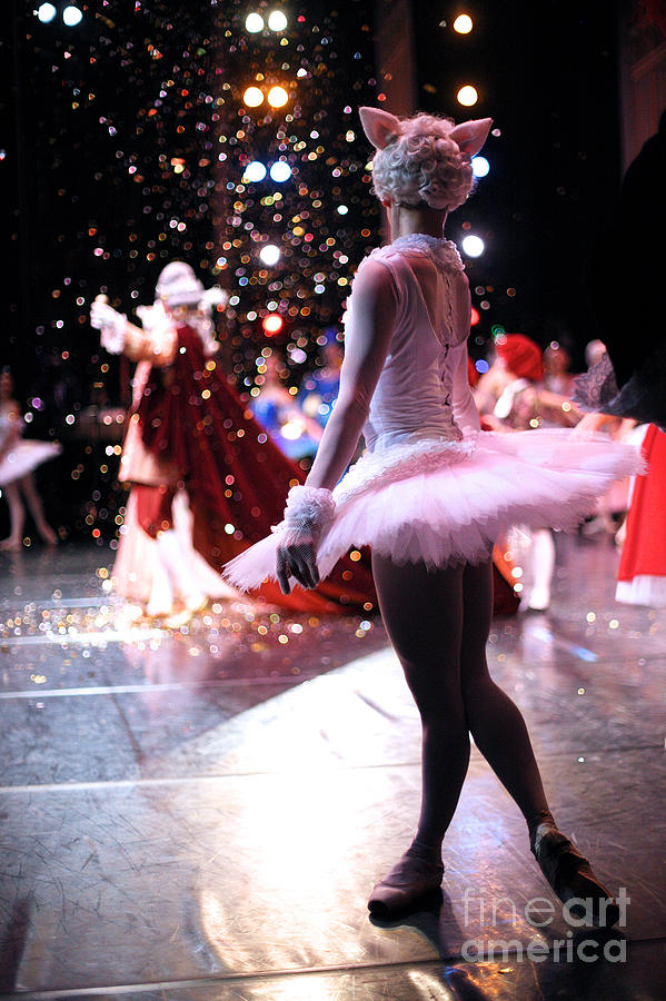 Christmas Ballet Performance Photograph by Anna Jurkovska Fine Art