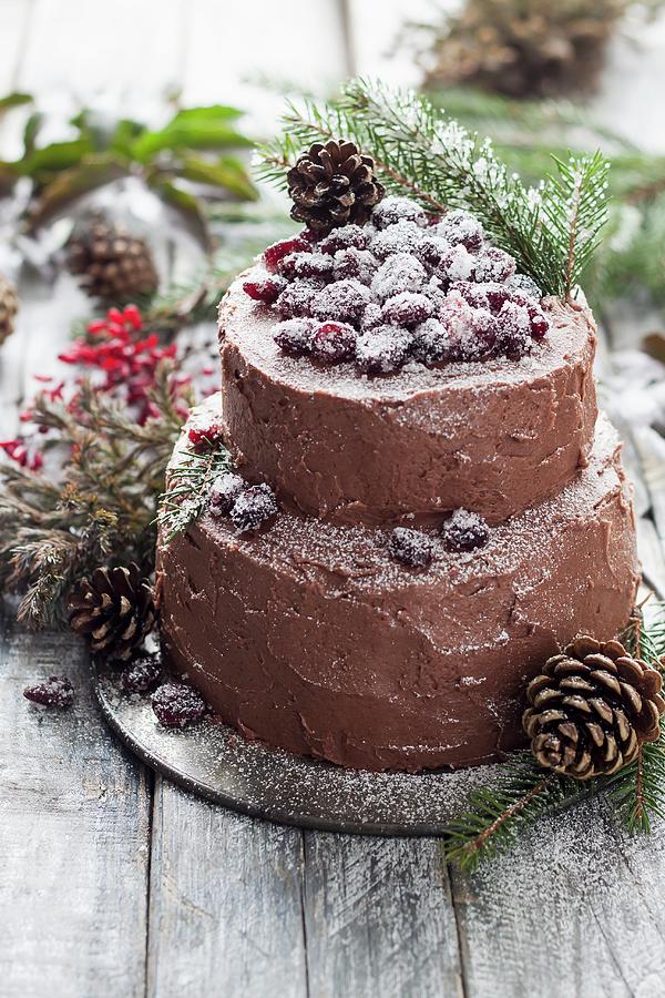 Christmas Cake With Cranberry And Chocolate Frosting Photograph by Malgorzata Laniak