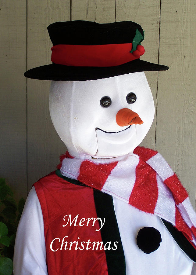 Christmas Card #3 Snowman Photograph by Jerry Griffin