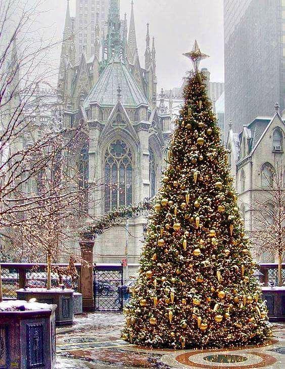 Christmas Cathedral Photograph by Jacqueline Manos