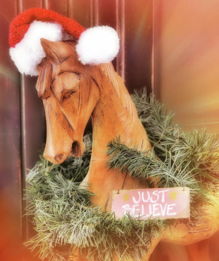 Christmas Chariot Photograph by Dressage Design
