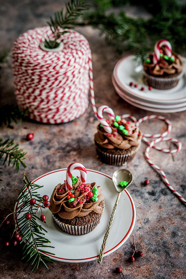 Christmas Chocolate Cupcakes Photograph by Diana Kowalczyk