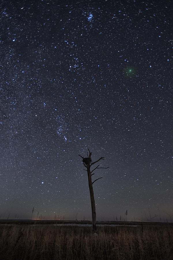 Christmas Comet  Photograph by Robert Fawcett