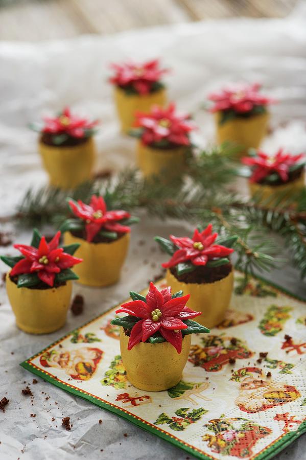 Christmas Confectionery: Poinsettias In Flower Pots Photograph by Rita Newman