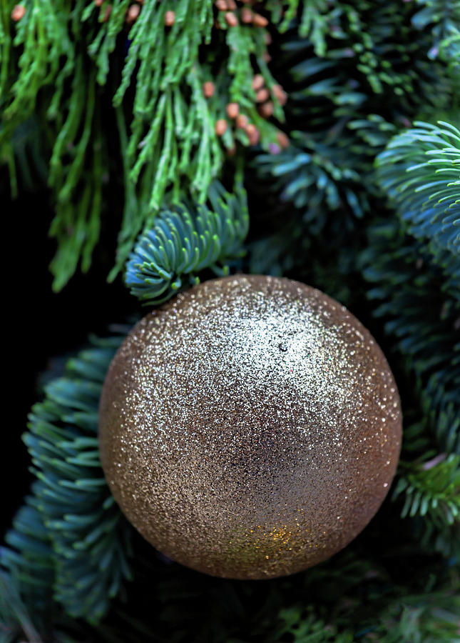 Christmas Decoration - Golden Ornament Photograph by Robert Ullmann