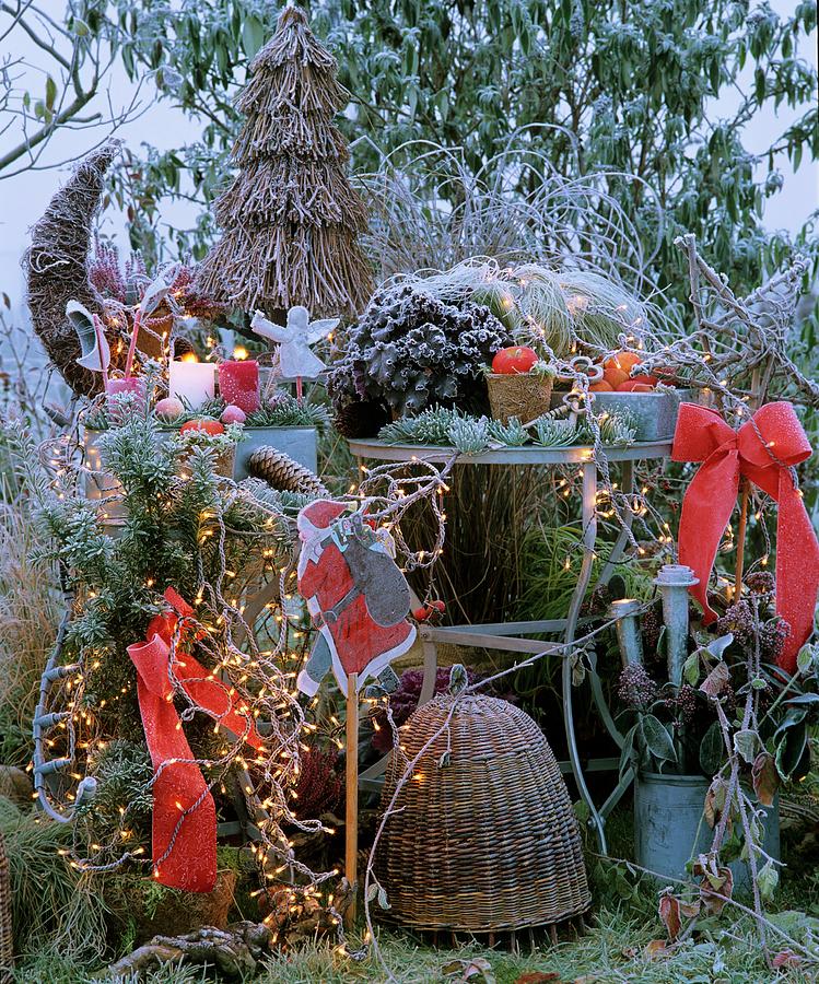 Christmas Decorations In Garden Photograph by Friedrich Strauss