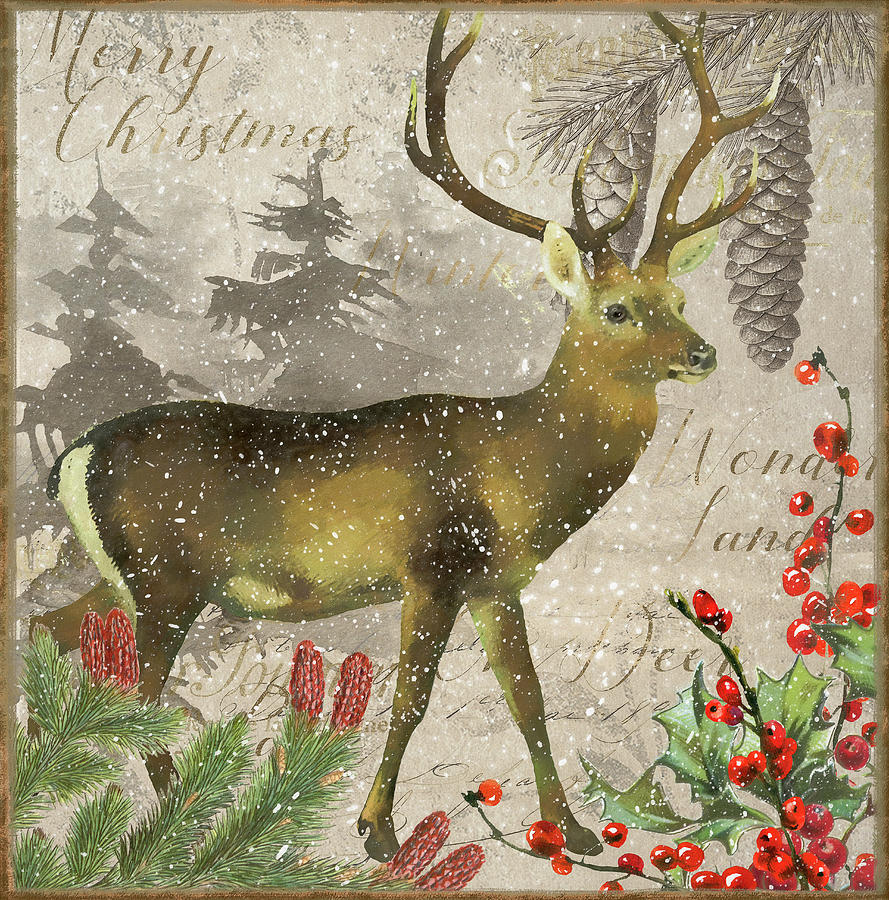 Deer Photograph - Christmas Deer I by Cora Niele