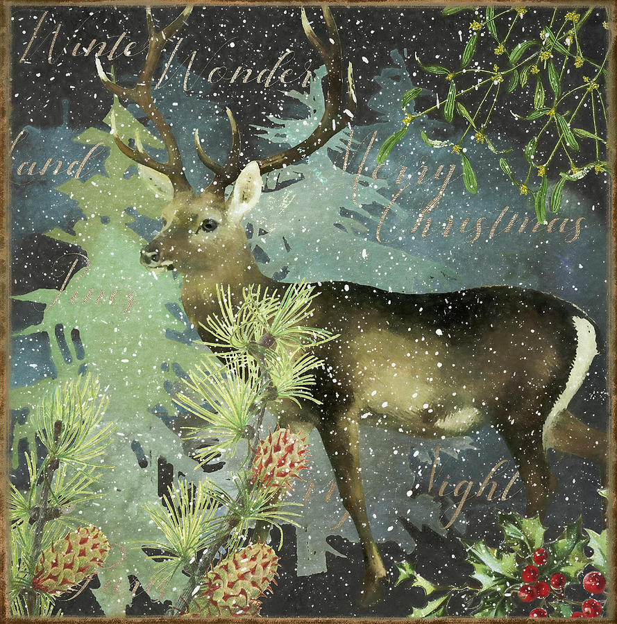 Deer Photograph - Christmas Deer II by Cora Niele