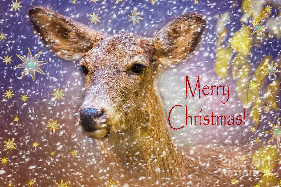 Christmas Deer Digital Art by Jean OKeeffe Macro Abundance Art