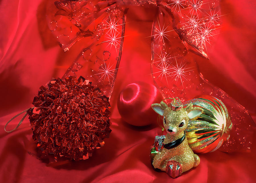 Christmas Deer Ornament Photograph by Cordia Murphy