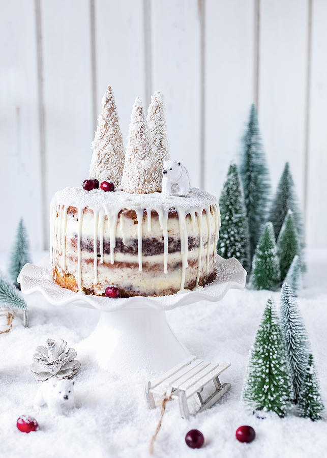 Christmas Drip Cake Photograph by Emma Friedrichs