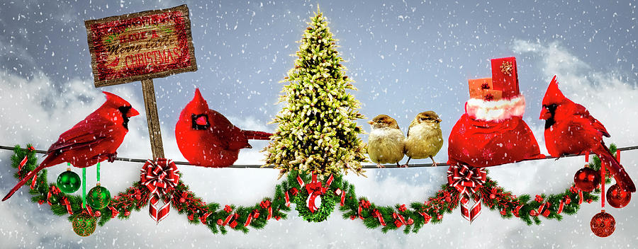 Christmas for the Birds Photograph by Debra and Dave Vanderlaan