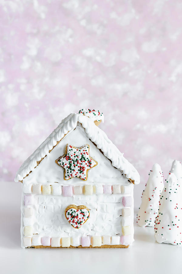 Christmas Gingerbread House Decorated With Marshmallows And Royal Icing Photograph by Alla Machutt