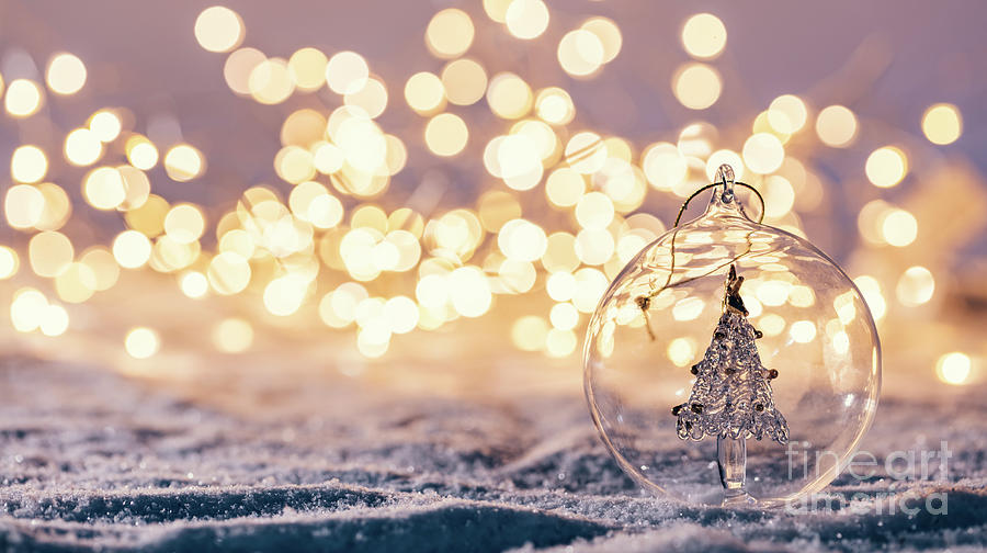 Christmas glass ball with tree in it on winter background. Photograph by  Michal Bednarek - Pixels