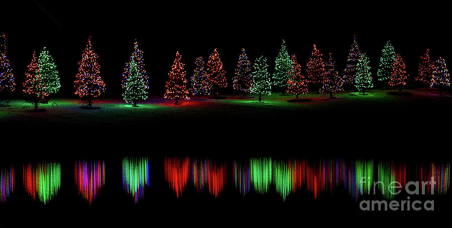 Christmas In Alaska Reflected Christmas Trees Photograph