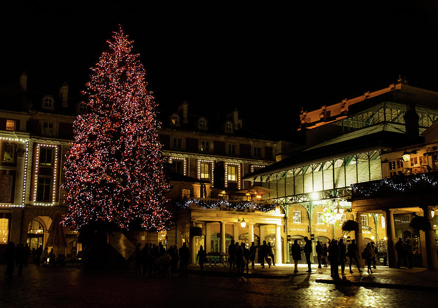 Christmas in London Photograph by Christopher Maxum