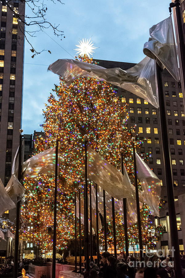 Christmas in New York Photograph by Reynaldo BRIGANTTY