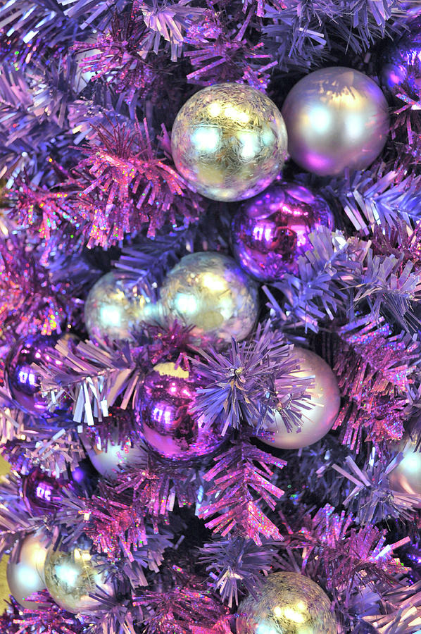 Christmas In Purple Photograph by Jamart Photography