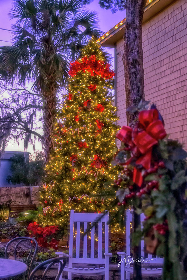 Christmas in the Courtyard Photograph by Joseph Desiderio