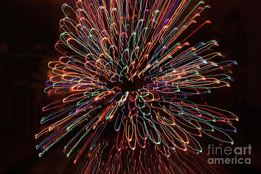 Christmas Light Blossom Photograph by Rick Locke - Out of the Corner of My Eye