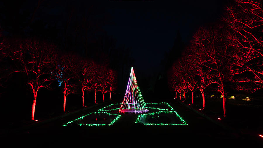 Christmas Lighting by Suguna Ganeshan Christmas Lighting by Suguna Ganeshan