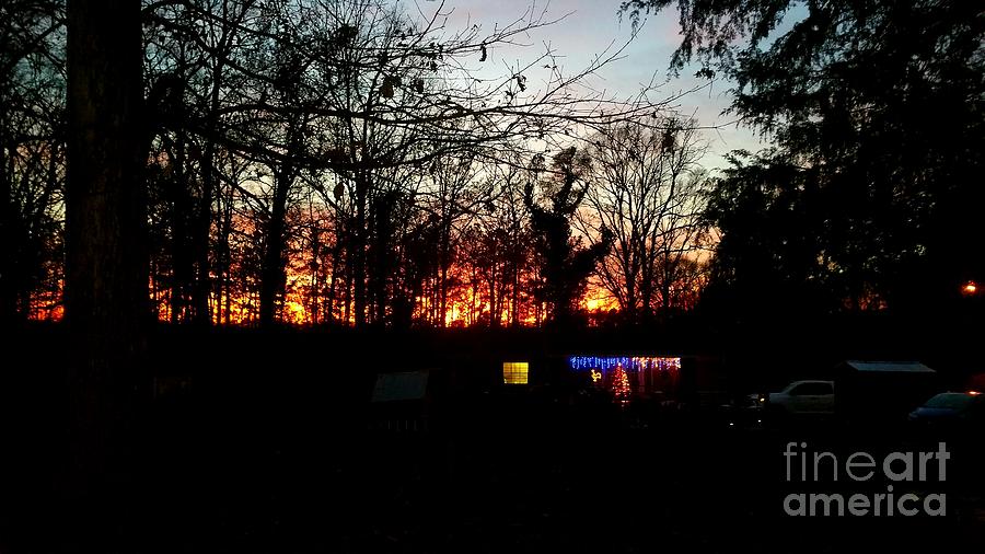 Christmas Lights In My Backyard On Christmas Day  Photograph by Donna Brown