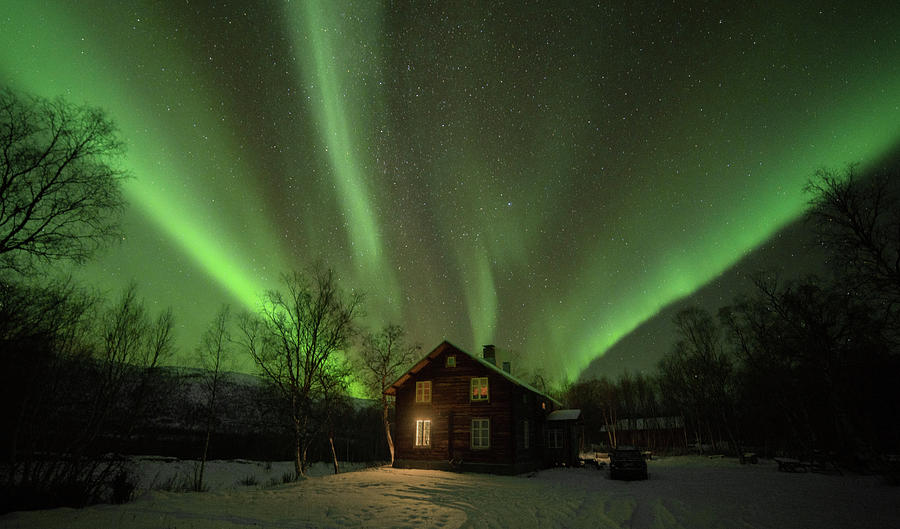 Christmas Lights Photograph by Pekka Sammallahti