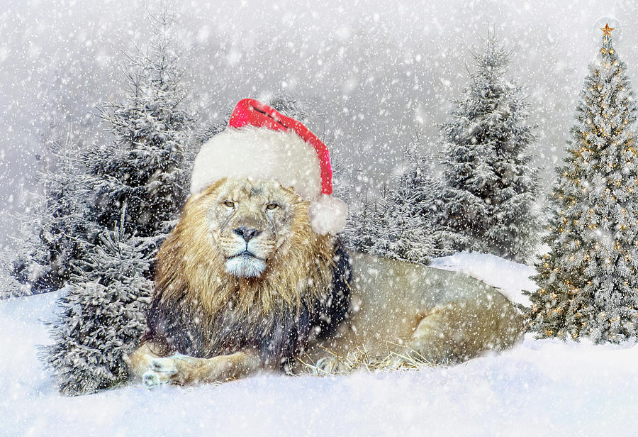Christmas Digital Art - Christmas Lion by Anita Hubbard