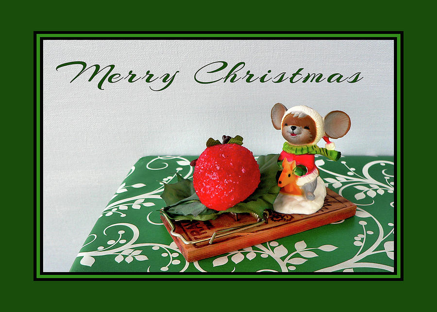 Christmas Mouse Photograph by Kathy K McClellan